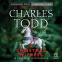 book cover for A Christmas Witness