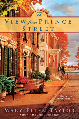 book cover for The View from Prince Street