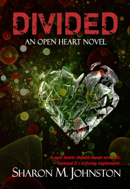 book cover for Divided
