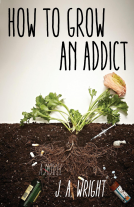 book cover for How to Grow an Addict