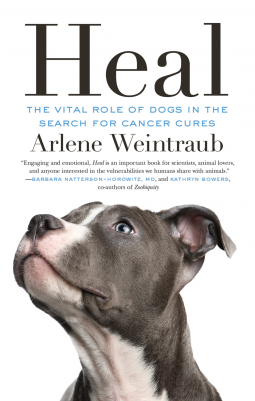 book cover for Heal