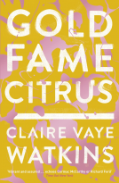 book cover for Gold Fame Citrus