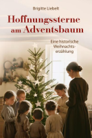 Buchcover für Hoffnungssterne am Adventsbaum