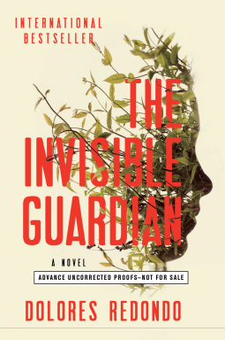 book cover for The Invisible Guardian