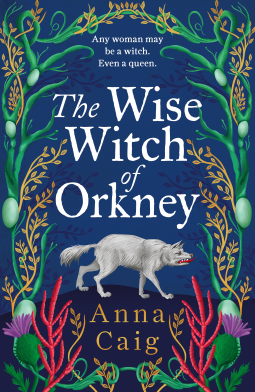 book cover for The Wise Witch of Orkney