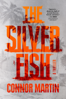 book cover for The Silver Fish