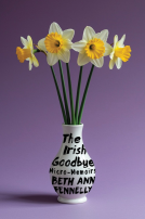 book cover for The Irish Goodbye