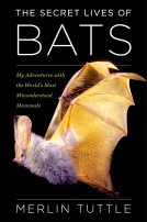 book cover for The Secret Lives of Bats