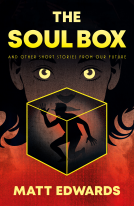 book cover for The Soul Box