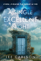 book cover for A Single Excellent Night