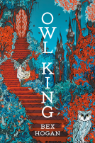 book cover for Owl King