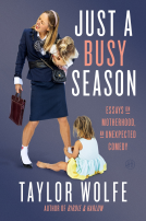 book cover for Just a Busy Season