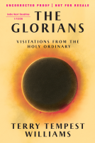 book cover for The Glorians