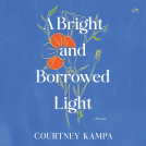 book cover for A Bright and Borrowed Light
