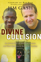 book cover for Divine Collision