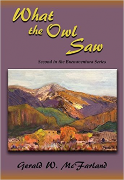 book cover for What the Owl Saw