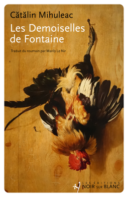 Couverture du livre pour Les Demoiselles de Fontaine