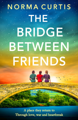 book cover for The Bridge Between Friends