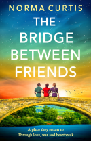 book cover for The Bridge Between Friends