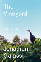 book cover for The Vineyard