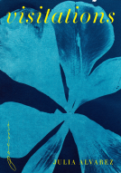 book cover for Visitations