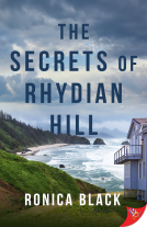 book cover for The Secrets of Rhydian Hill