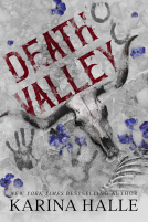 book cover for Death Valley
