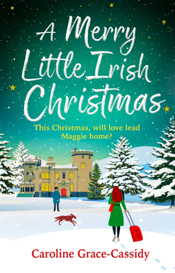 book cover for A Merry Little Irish Christmas