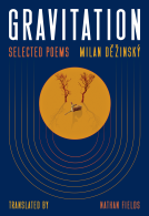 book cover for Gravitation