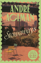 book cover for Stowaways