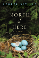 book cover for North of Here