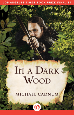 book cover for In a Dark Wood