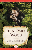 book cover for In a Dark Wood