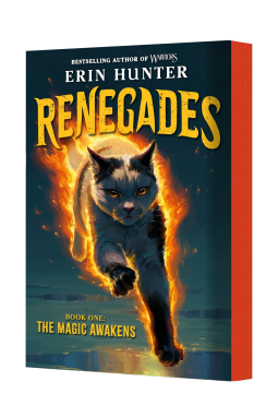 book cover for Renegades #1: The Magic Awakens