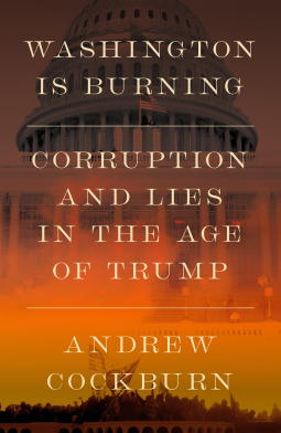 book cover for Washington Is Burning