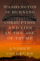 book cover for Washington Is Burning