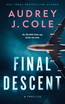 book cover for Final Descent: A Novella