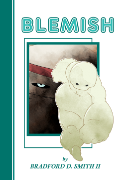 book cover for Blemish