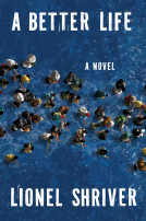 book cover for A Better Life