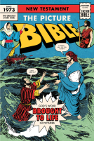 book cover for The Picture Bible New Testament