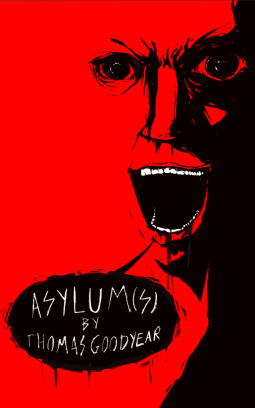 book cover for Asylum(s)