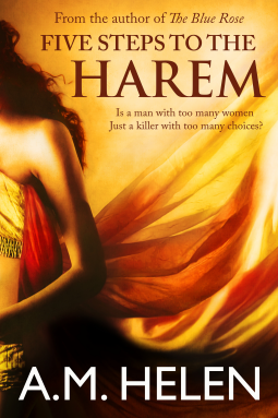 book cover for Five Steps to the Harem