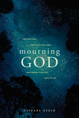 book cover for Mourning God
