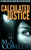 book cover for Calculated Justice