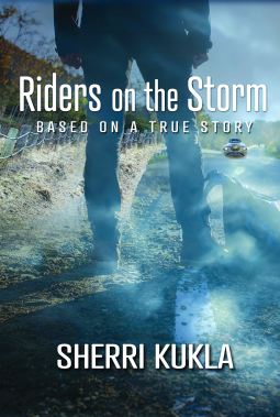 book cover for Riders on the Storm