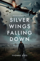 book cover for Silver Wings Falling Down