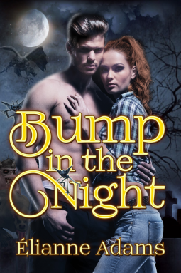 book cover for Bump In The Night