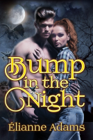 book cover for Bump In The Night