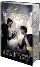 Buchcover für Magisterium - Das 4. Jahr