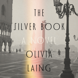 book cover for The Silver Book